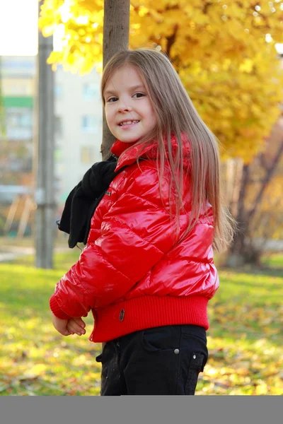 Meisje in de herfst park — Stockfoto