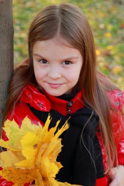 落ち葉の背景からの女の子 — ストック写真