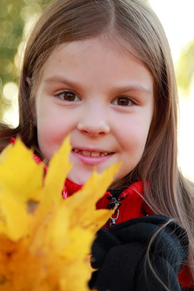 Dívka na pozadí spadaného listí — Stock fotografie