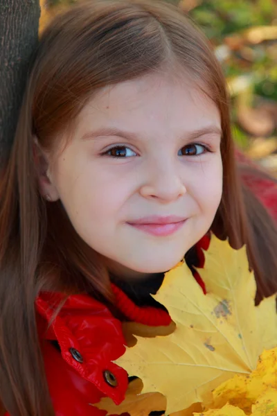 Niña con hojas de otoño — Foto de Stock