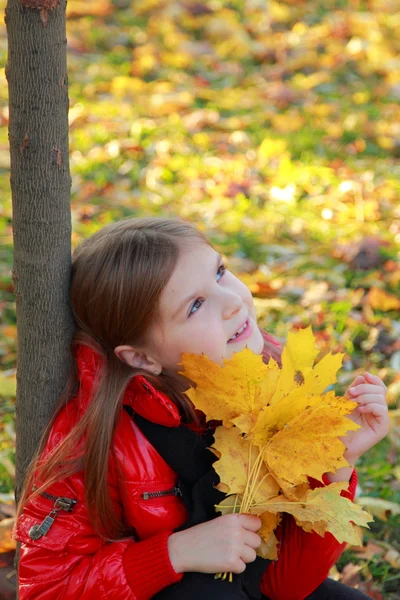 Menina na temporada de outono — Fotografia de Stock