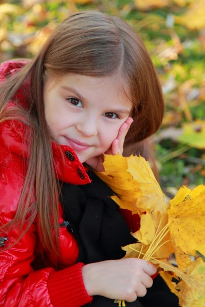 Sonbahar sezonu küçük kız — Stok fotoğraf