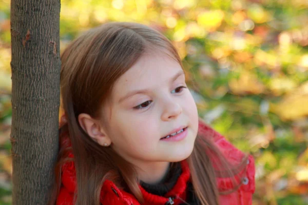 Kleines Mädchen im Herbst — Stockfoto