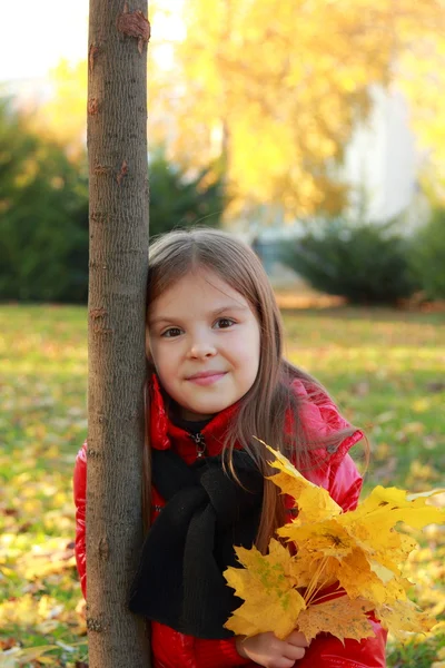Little girl at autumn time — Stock Photo, Image