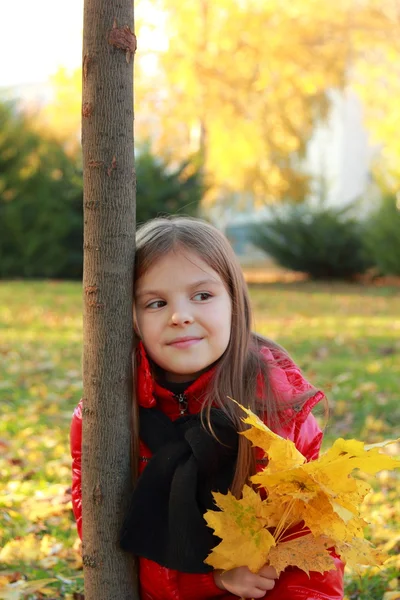 Petit enfant dans le parc d'automne — Photo