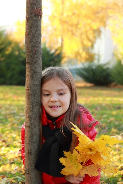 Bambino nel parco autunnale — Foto Stock