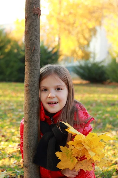 Klein kind in herfst park — Stockfoto