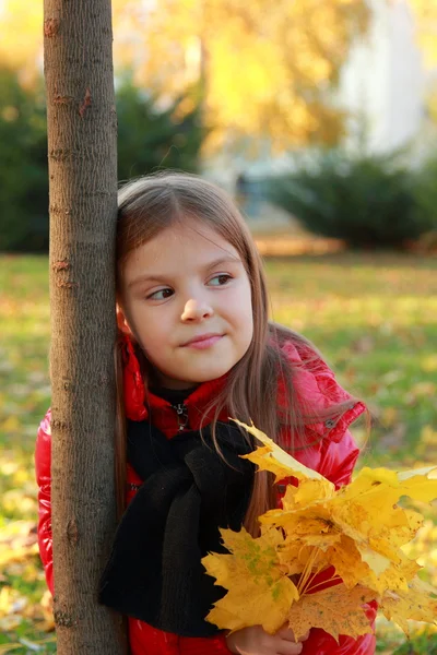 Klein kind in herfst park — Stockfoto