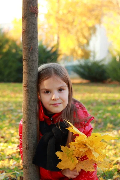 Niño pequeño en el parque de otoño — Foto de Stock