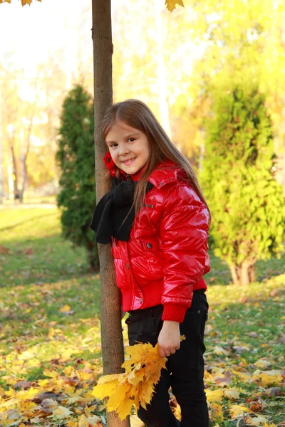 Criança pequena no parque de outono — Fotografia de Stock