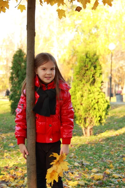 Petit enfant dans le parc d'automne — Photo