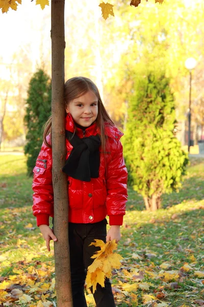 Little girl at autumn park — Stock Photo, Image