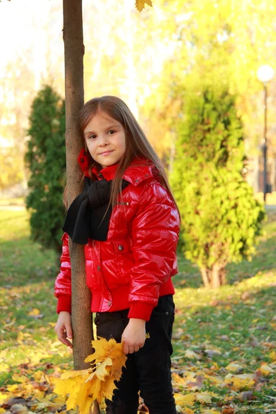 Bambina al parco autunnale — Foto Stock