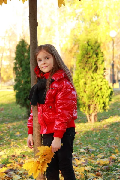 Dziewczynka jesień Park — Zdjęcie stockowe