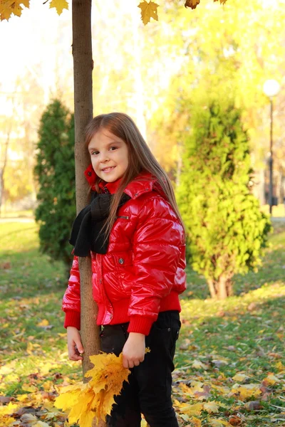 Little girl at autumn park — Stock Photo, Image