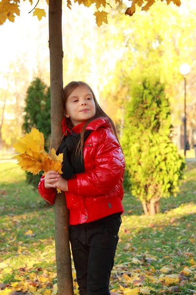 Little girl at autumn park — Stock Photo, Image