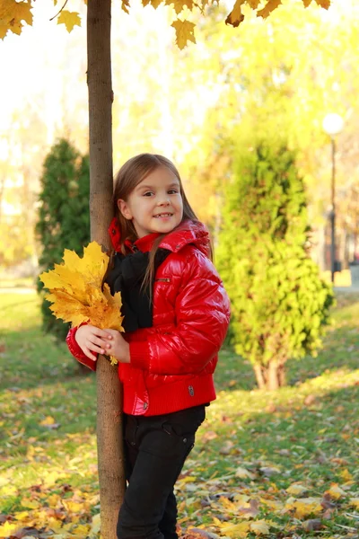 Liten flicka på hösten park — Stockfoto