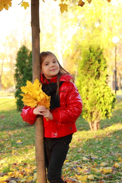 小女孩在秋天公园 — 图库照片