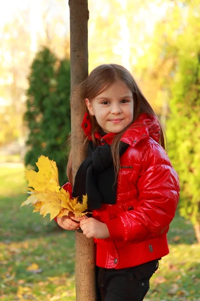 Kleines Mädchen im Herbstpark — Stockfoto