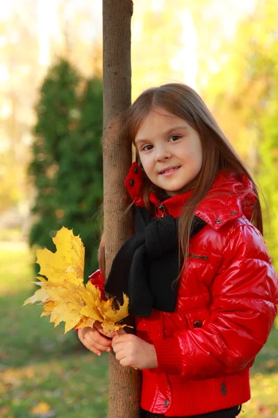 Malá holčička v podzimní park — Stock fotografie