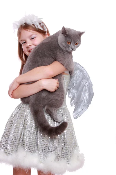 Ангел играет с британской кошкой — стоковое фото
