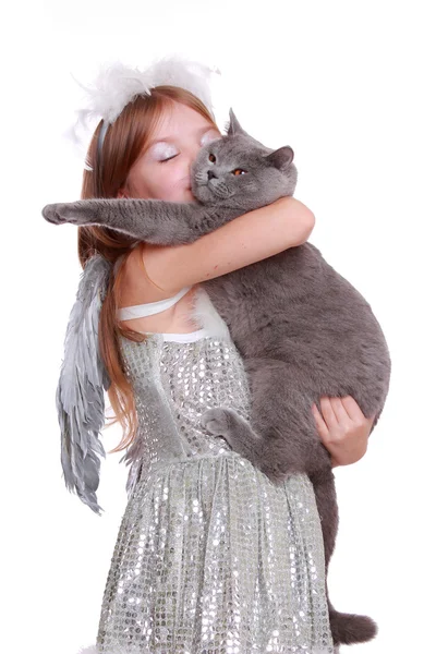 Angel playing with British cat — Stock Photo, Image