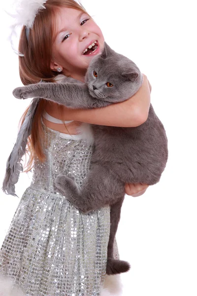 Angel playing with British cat — Stock Photo, Image