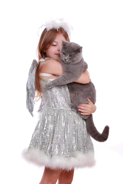 Angel playing with British cat — Stock Photo, Image