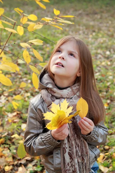 Sonbahar Park'ta küçük kız — Stok fotoğraf
