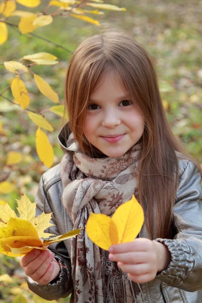 Klein meisje in herfst park — Stockfoto