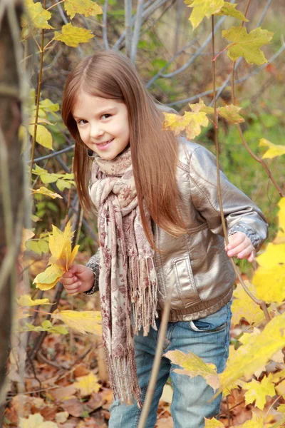 Little girl in autumn park — Stock Photo, Image