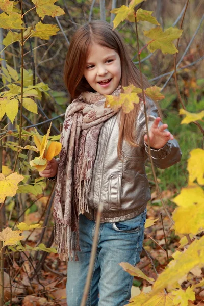 Little girl in autumn park — Stock Photo, Image