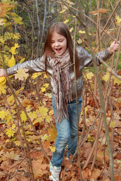 Bambina nel parco autunnale — Foto Stock