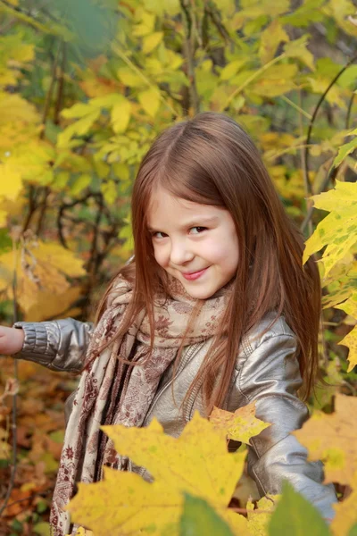 Fetiță în parcul de toamnă — Fotografie, imagine de stoc
