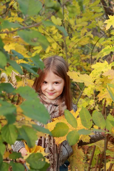 Klein meisje in het herfstpark — Stockfoto