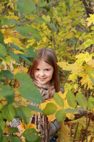 秋天公园里的小女孩 — 图库照片
