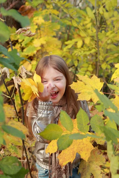 Dívka v podzimním čase — Stock fotografie