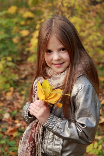 Meisje in de herfst tijd — Stockfoto