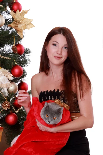 Kadın kediyi Noel ağacı ile — Stok fotoğraf