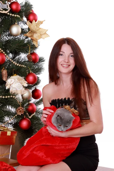 Femme avec chat sur l'arbre de Noël — Photo