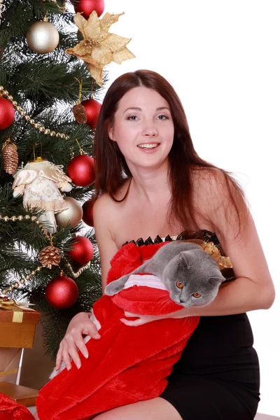 Vrouw met kat over kerstboom — Stockfoto