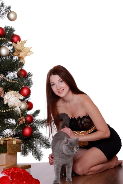 Kadın kediyi Noel ağacı ile — Stok fotoğraf