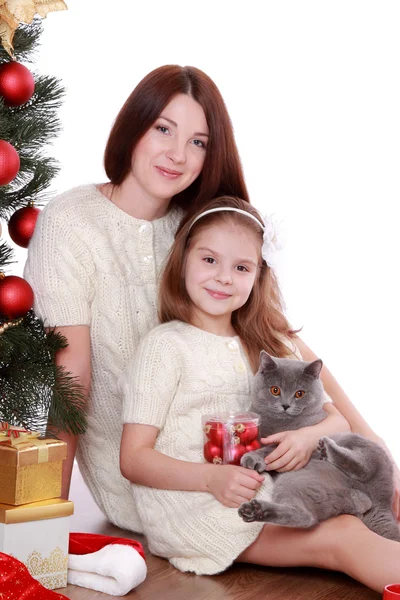 クリスマス ツリーの上の母と娘の猫 — ストック写真