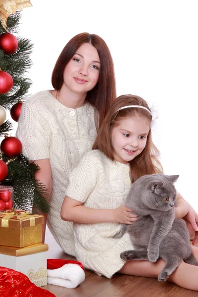 Mãe e filha gato sobre árvore de Natal — Fotografia de Stock