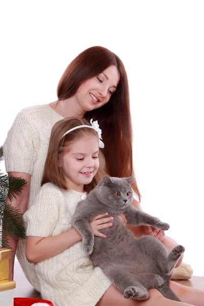 크리스마스 트리를 통해 어머니와 딸 고양이 — 스톡 사진