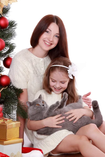 Anne ve kızı kedi Noel ağacı üzerinde — Stok fotoğraf