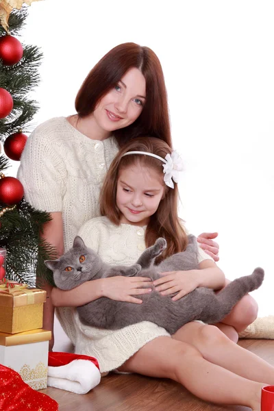 Dcera a matka kočka přes vánoční stromeček — Stock fotografie