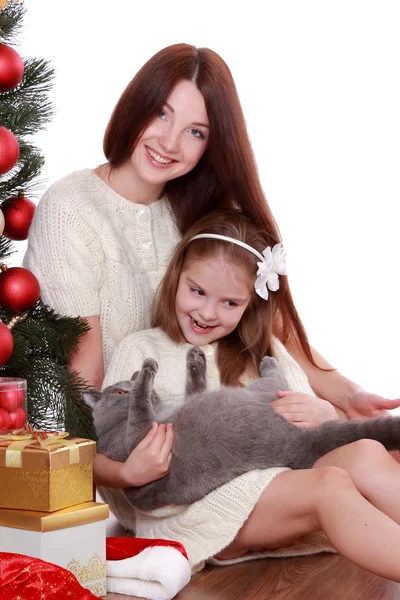 Anne ve kızı kedi Noel ağacı üzerinde — Stok fotoğraf
