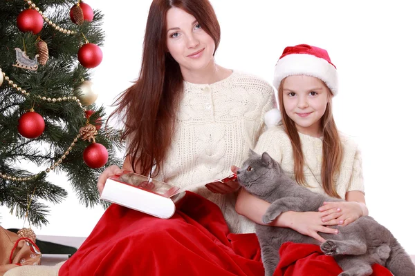 Mother and daughter holding cat over Christmas tree — Stock Photo, Image