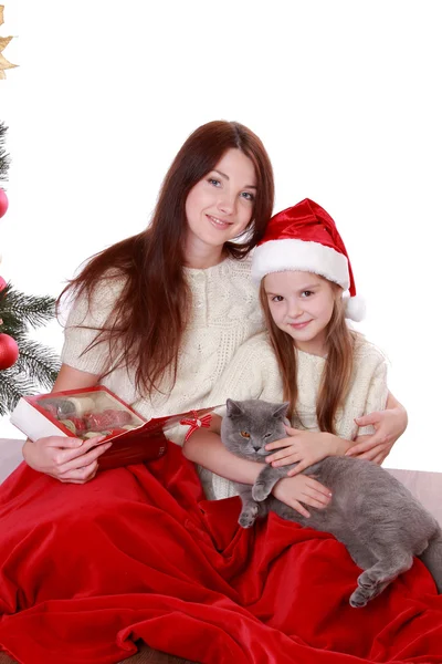 Mother and daughter holding cat over Christmas tree — Stock Photo, Image